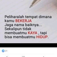 Fridus Fds