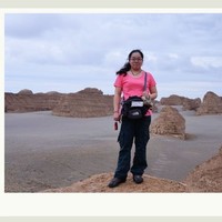 王洪娟