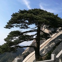 刘安冬
