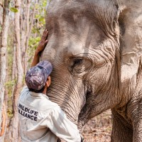 Phnom Tamao Wildlife Tours