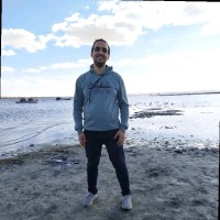 ياسر مصطفي