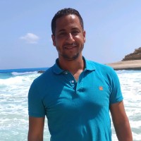 Hossam Alaaeldin