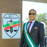 Hussein Ashry