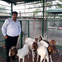 Dr. Ashok Liladhar Bist