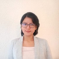 Susana Ingrid Arce Silva
