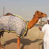 Hamad Alkaabi