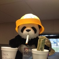 Pat Panda