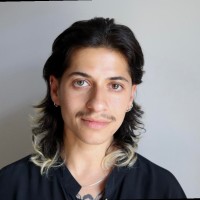 Anya Katz Lmsw