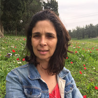 Rotem Kushnir