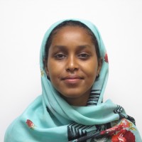 Hamda A. Mohamed