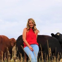 Jessi Shafer