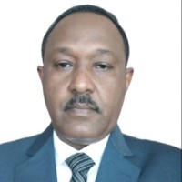 Mohmed Ahmed Siddig