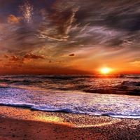 Lori Antonucci-Pennell