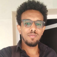 Tamirat T.