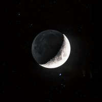 Mehreen (Moon) Wani