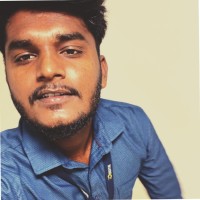 Logeshwaran Pandiayaraja