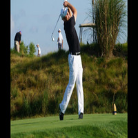 Dustin Moser, Pga