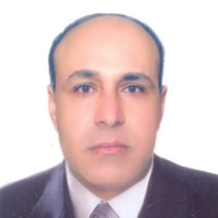 Awny Amer Mohsen