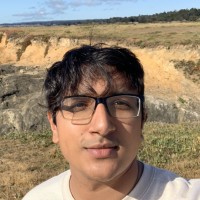 Nilesh D.