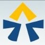 Acuitas Consulting Services