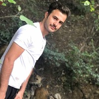 Mojtaba Mz