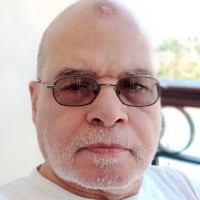 Mohy Elsaadany