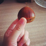 Chestnut Chen