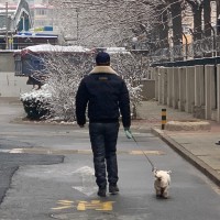 李洪成