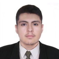 Max Jesús Ronald Sayas Merino