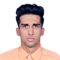 Malik Salim