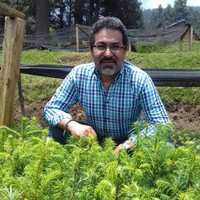 César Avalos