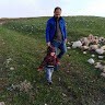 Firaz Armanc