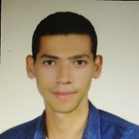 mahmoud saeid