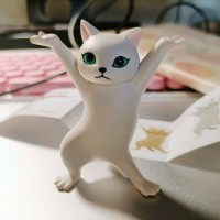 陈楚楚