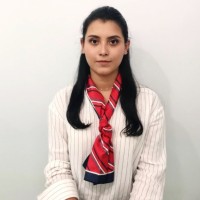Alisson Hernández Gonzalez