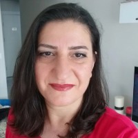 Ayse B