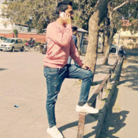 Dinesh Dhiman