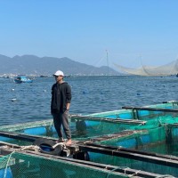 Bùi Trần Nguyên Khôi