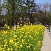 徐建刚