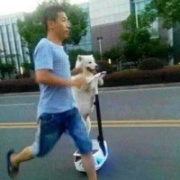 RAY XIE