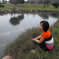 Tran Le Dung