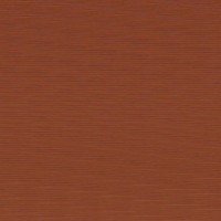 Catalina Oviedo Izurieta