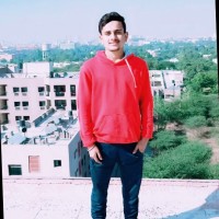 VIKASH MEENA