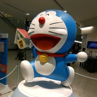 冯志艳