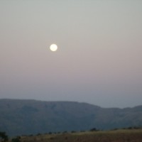 Molefe Phetoe