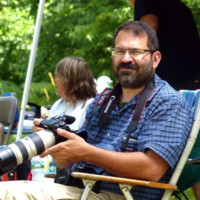 John DiLiberto