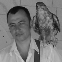 Денис Мандрыкин