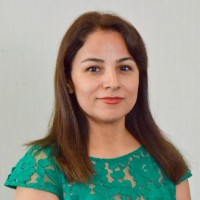 Vida Rahgoui
