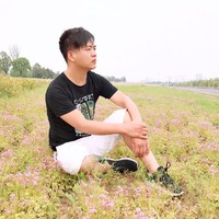 张照保