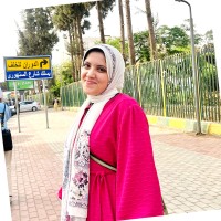 Maryam Mekawy